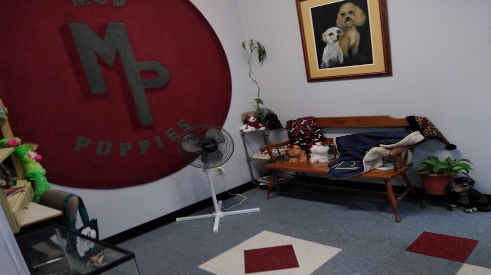 Retail for Rent Columbia SC Retail office for lease